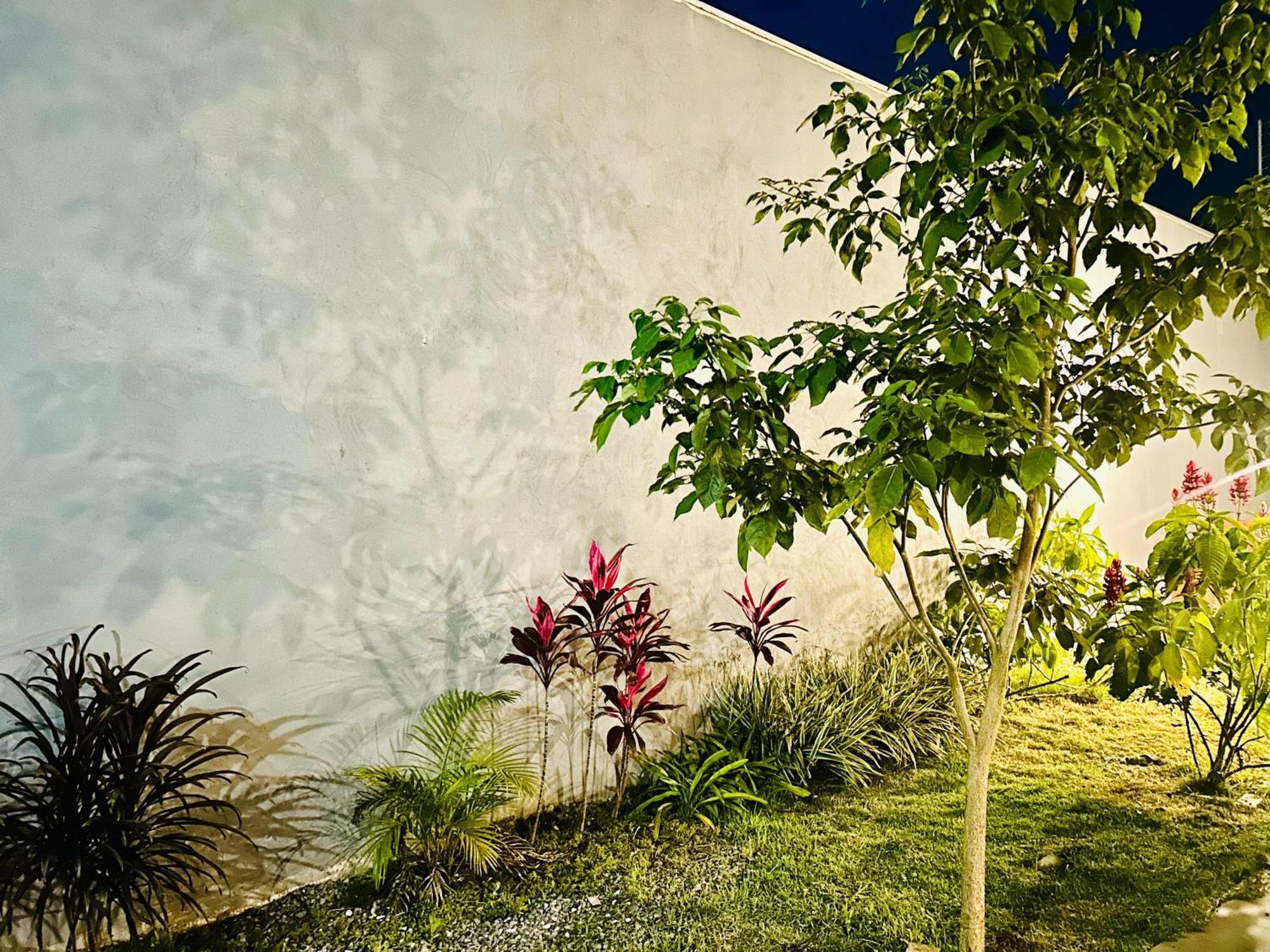 Casa Com Spa De Hidro Com Aquecedor A 700 Mts Do Centro Шапада-дус-Гимарайнс Экстерьер фото